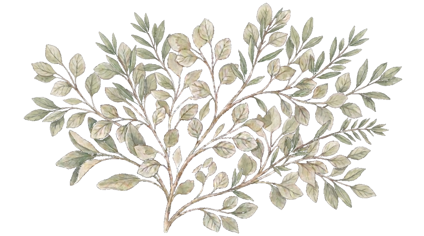 Naissance Aquarelle